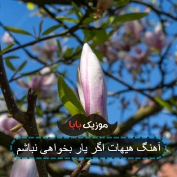 آهنگ هیهات اگر یار بخواهی نباشم آهنگ هیهات اگر یار بخواهی نباشم