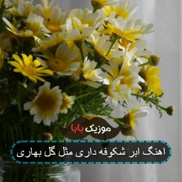 اهنگ ابر شکوفه داری مثل گل بهاری