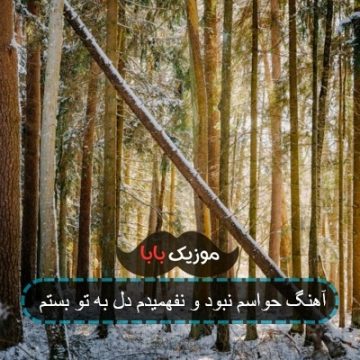 آهنگ حواسم نبود و نفهمیدم دل به تو بستم آهنگ حواسم نبود و نفهمیدم دل به تو بستم