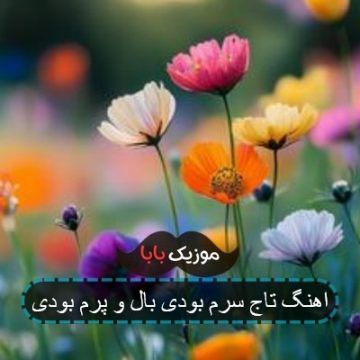 اهنگ تاج سرم بودی بال و پرم بودی