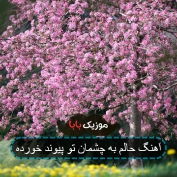 آهنگ حالم به چشمان تو پیوند خورده
