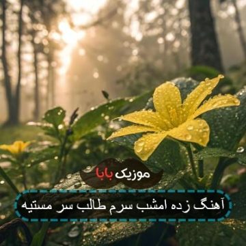 آهنگ زده امشب سرم طالب سر مستیه آهنگ زده امشب سرم طالب سر مستیه