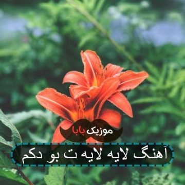 آهنگ لایه لایه ت بو دکم