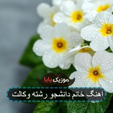 آهنگ خانم دانشجو رشته وکالت