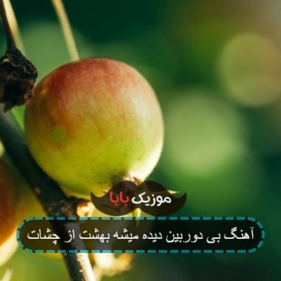 آهنگ بی دوربین دیده میشه بهشت از چشات