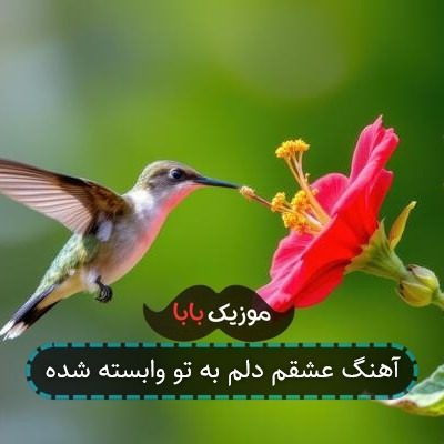 آهنگ عشقم دلم به تو وابسته شده