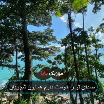 صدای تو را دوست دارم همایون شجریان