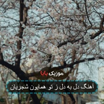 آهنگ دل به دل ز تو همایون شجریان