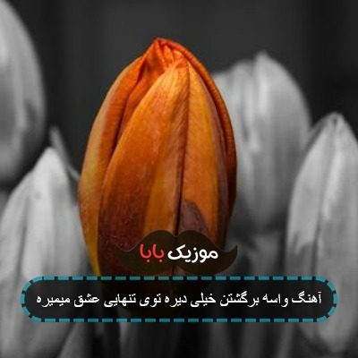 آهنگ واسه برگشتن خیلی دیره توی تنهایی عشق میمیره