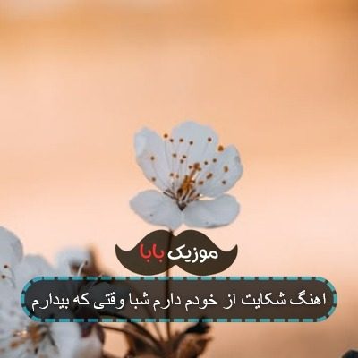 اهنگ شکایت از خودم دارم شبا وقتی که بیدارم اهنگ شکایت از خودم دارم شبا وقتی که بیدارم