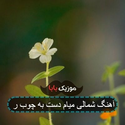 چالش با آهنگ شمالی میام دست به چوب چالش با آهنگ شمالی میام دست به چوب