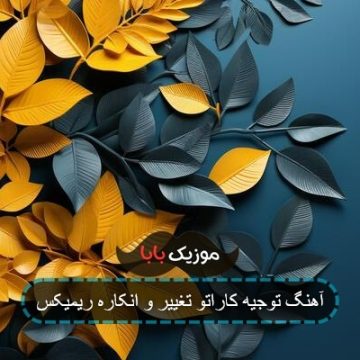 آهنگ توجیه کاراتو تغییر و انکاره ریمیکس