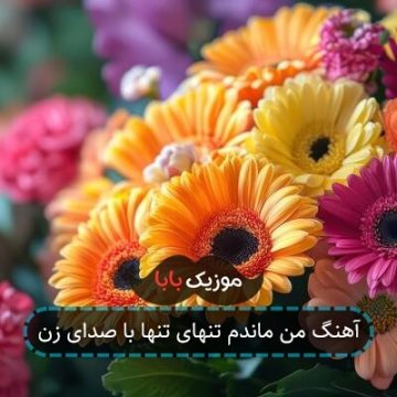 آهنگ من ماندم تنهای تنها با صدای زن
