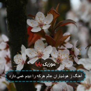 آهنگ ز هوشیاران عالم هرکه را دیدم غمی دارد