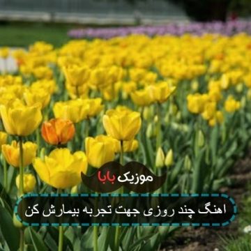 اهنگ چند روزی جهت تجربه بیمارش کن اهنگ چند روزی جهت تجربه بیمارش کن