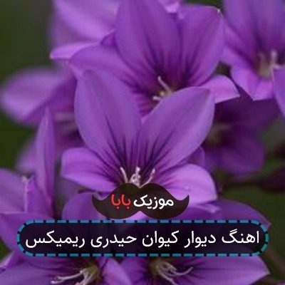 اهنگ دیوار کیوان حیدری ریمیکس