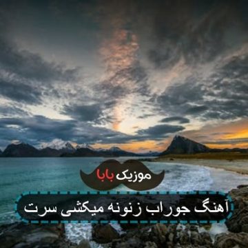 آهنگ یارو لگد تو گربه نزده