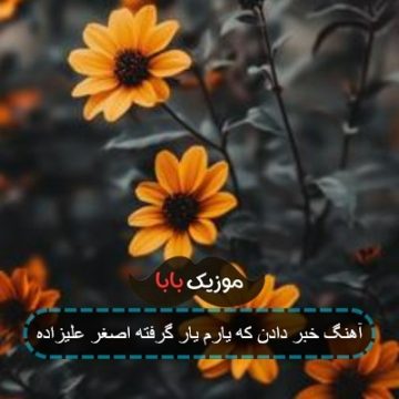آهنگ خبر دادن که یارم یار گرفته اصغر علیزاده آهنگ خبر دادن که یارم یار گرفته اصغر علیزاده