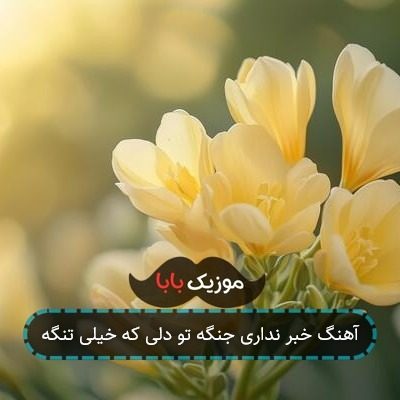 آهنگ خبر نداری جنگه تو دلی که خیلی تنگه آهنگ خبر نداری جنگه تو دلی که خیلی تنگه