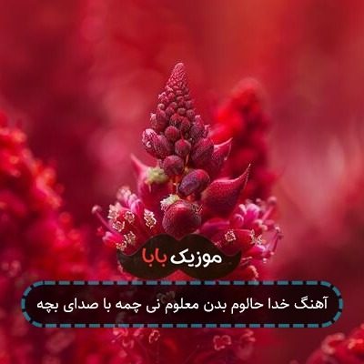 آهنگ خدا حالوم بدن معلوم نی چمه با صدای بچه