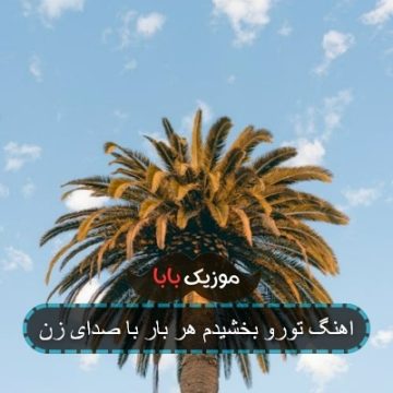 اهنگ تورو بخشیدم هر بار با صدای زن اهنگ تورو بخشیدم هر بار با صدای زن