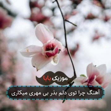 آهنگ چرا توی دلم بذر بی مهری میکاری آهنگ چرا توی دلم بذر بی مهری میکاری