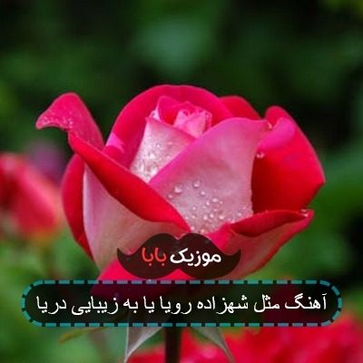 اهنگ مثل شهزاده رویا یا به زیبایی دریا