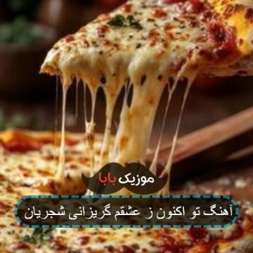 آهنگ تو اکنون ز عشقم گریزانی شجریان