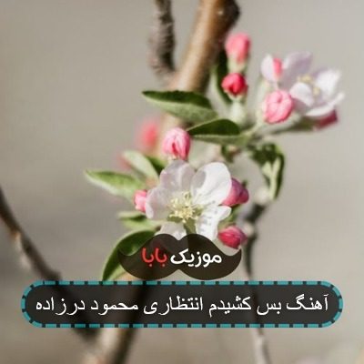 آهنگ بس کشیدم انتظاری محمود درزاده