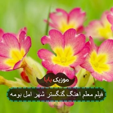 اهنگ صحرایی یار یرماز من اینستاگرام