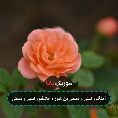 آهنگ راستی و راستی من هنوزم عاشقتم آهنگ راستی و راستی من هنوزم عاشقتم