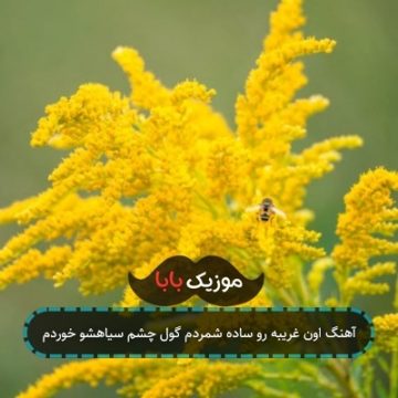 آهنگ اون غریبه رو ساده شمردم گول چشم سیاهشو خوردم آهنگ اون غریبه رو ساده شمردم گول چشم سیاهشو خوردم
