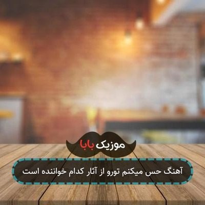آهنگ حس میکنم تورو از آثار کدام خواننده است