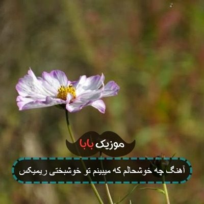 آهنگ چه خوشحالم که میبینم تو خوشبختی ریمیکس