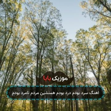اهنگ سرد بودم درد بودم همنشین مردم نامرد بودم