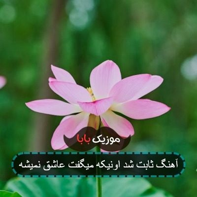 آهنگ ثابت شد اونیکه میگفت عاشق نمیشه آهنگ ثابت شد اونیکه میگفت عاشق نمیشه