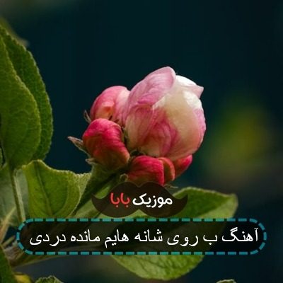 آهنگ. روی شانه هایم مانده دردی آهنگ. روی شانه هایم مانده دردی