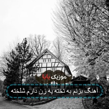 آهنگ بزنم به تخته یه زن دارم شلخته