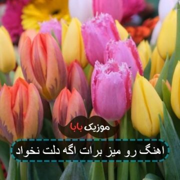 اهنگ رو میز برات اگه دلت نخواد