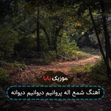 آهنگ شمع اله پروانیم دیوانیم دیوانه آهنگ شمع اله پروانیم دیوانیم دیوانه
