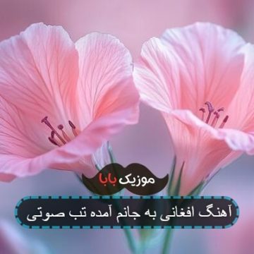 آهنگ افغانی به جانم آمده تب صوتی