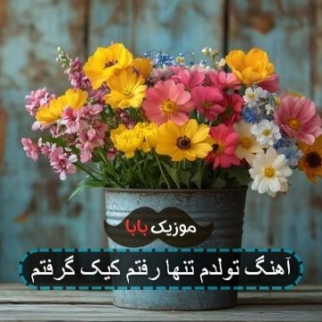 آهنگ تولدم تنها رفتم کیک گرفتم آهنگ تولدم تنها رفتم کیک گرفتم