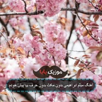 آهنگ میثم ابراهیمی بدون مکث بدون حرف بیا پیش خودم