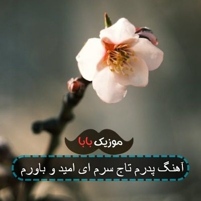 آهنگ پدرم تاج سرم میثم خداوردی