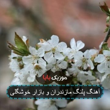 آهنگ پلنگ مازندران و بازار خوشگلی