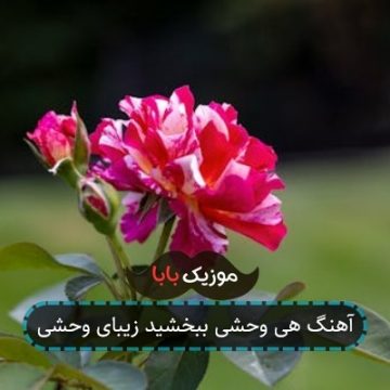آهنگ هی وحشی ببخشید زیبای وحشی آهنگ هی وحشی ببخشید زیبای وحشی