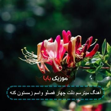 آهنگ میترسم دلت چهار فصلو واسم زمستون کنه آهنگ میترسم دلت چهار فصلو واسم زمستون کنه