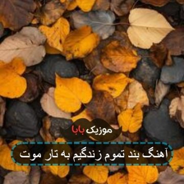 آهنگ تو یار ابدیمی عشق مو فرفریمی