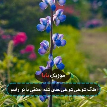 آهنگ شوخی شوخی جدی شده عاشقی با تو واسم