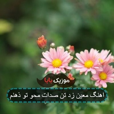 اهنگ معین زد تن صدات محو تو ذهنم